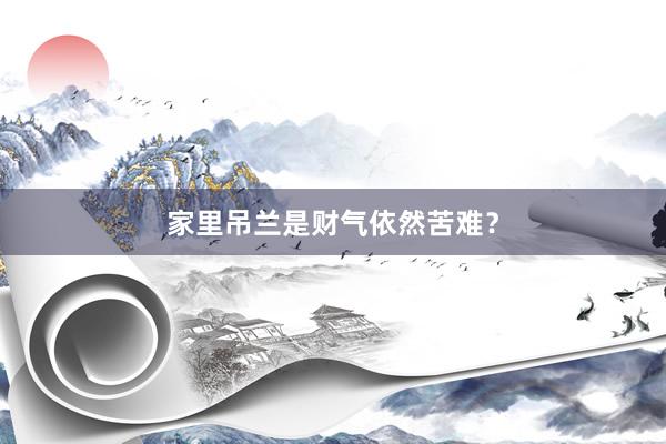 家里吊兰是财气依然苦难？