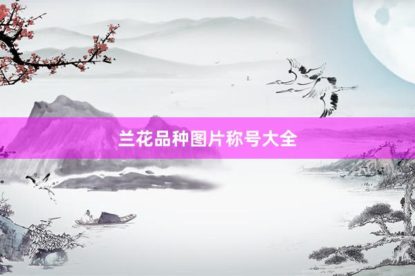 兰花品种图片称号大全