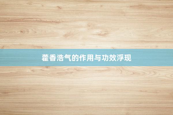 藿香浩气的作用与功效浮现