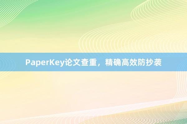 PaperKey论文查重，精确高效防抄袭