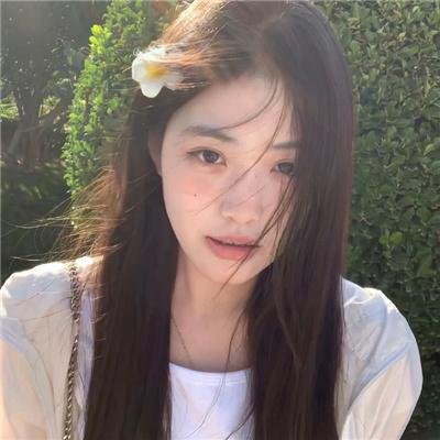 加油七条友